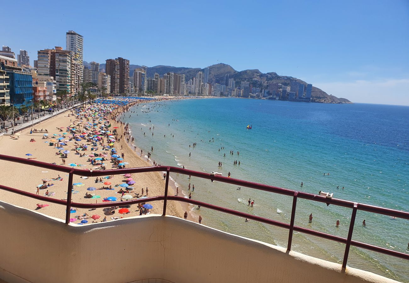 Apartamento en Benidorm - LUX CENTER (3 DORMITORIOS)