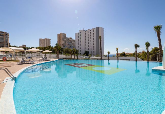 Apartamento en Benidorm - SUNSET WAVES (2 DORMITORIOS) Apartamento en Benidorm - SUNSET WAVES (2 DORMITORIOS)