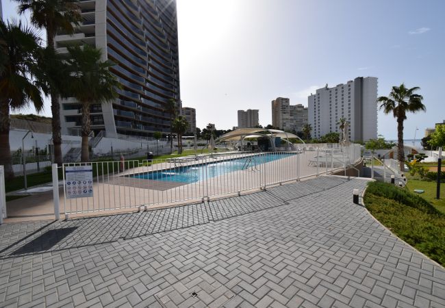 Apartamento en Benidorm - SUNSET WAVES (2 DORMITORIOS) Apartamento en Benidorm - SUNSET WAVES (2 DORMITORIOS)
