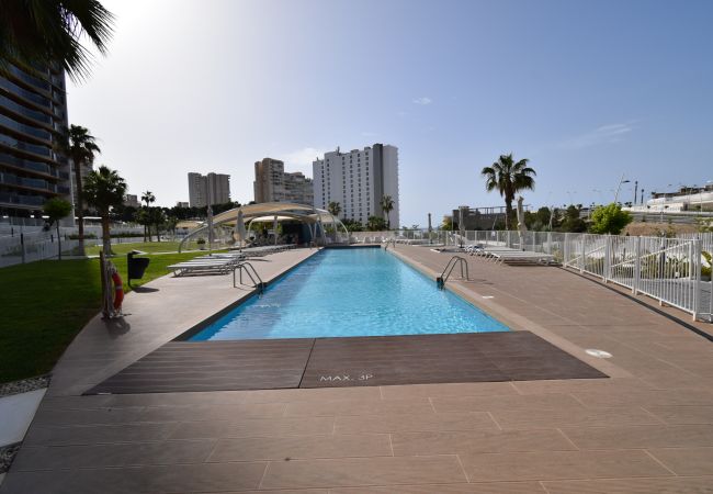 Apartamento en Benidorm - SUNSET WAVES (2 DORMITORIOS) Apartamento en Benidorm - SUNSET WAVES (2 DORMITORIOS)