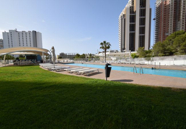 Apartamento en Benidorm - SUNSET WAVES (2 DORMITORIOS) Apartamento en Benidorm - SUNSET WAVES (2 DORMITORIOS)