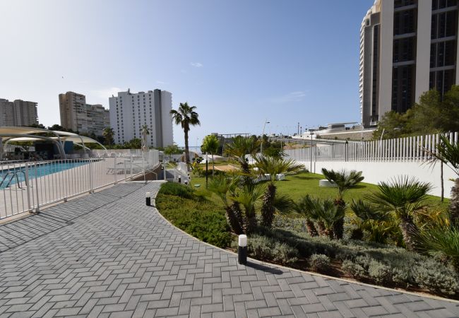 Apartamento en Benidorm - SUNSET WAVES (2 DORMITORIOS) Apartamento en Benidorm - SUNSET WAVES (2 DORMITORIOS)