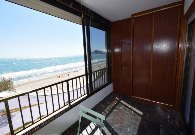 Apartamento en Benidorm - BENIBEACH (1  DORMITORIO) Apartamento en Benidorm - BENIBEACH (1  DORMITORIO)