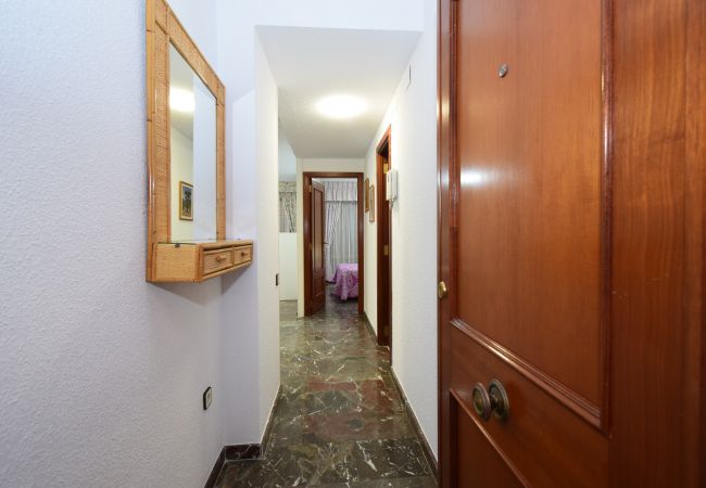 Apartamento en Benidorm - BENIBEACH (1  DORMITORIO) Apartamento en Benidorm - BENIBEACH (1  DORMITORIO)