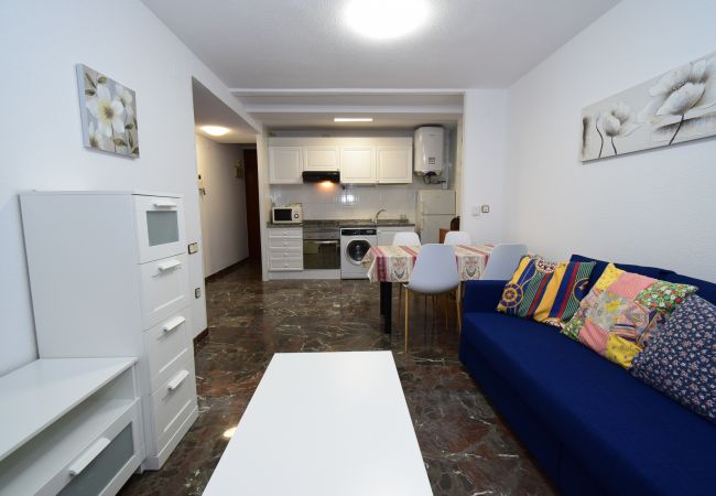 Apartamento en Benidorm - BENIBEACH (1  DORMITORIO) Apartamento en Benidorm - BENIBEACH (1  DORMITORIO)