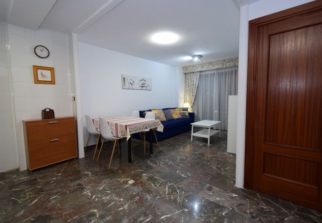 Apartamento en Benidorm - BENIBEACH (1  DORMITORIO) Apartamento en Benidorm - BENIBEACH (1  DORMITORIO)