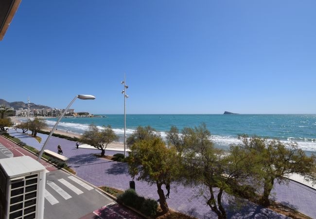 Apartamento en Benidorm - BENIBEACH (1  DORMITORIO)