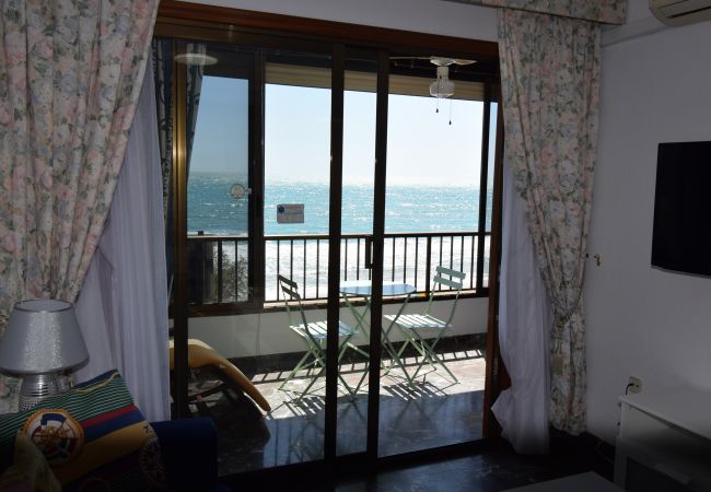 Apartamento en Benidorm - BENIBEACH (1  DORMITORIO) Apartamento en Benidorm - BENIBEACH (1  DORMITORIO)