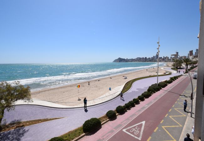 Apartamento en Benidorm - BENIBEACH (1  DORMITORIO)