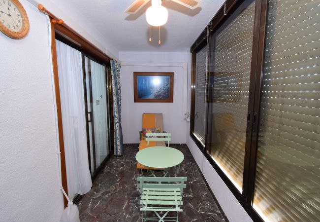 Apartamento en Benidorm - BENIBEACH (1  DORMITORIO) Apartamento en Benidorm - BENIBEACH (1  DORMITORIO)