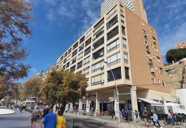 Apartamento en Benidorm - BENIBEACH (1  DORMITORIO) Apartamento en Benidorm - BENIBEACH (1  DORMITORIO)