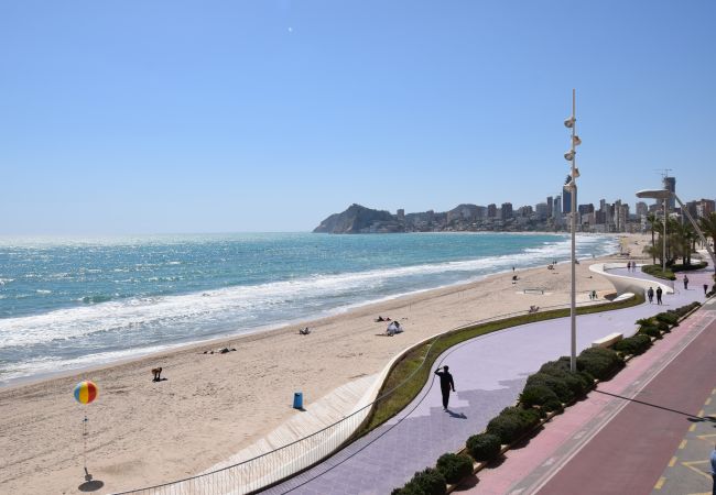 Apartamento en Benidorm - BENIBEACH (1  DORMITORIO)