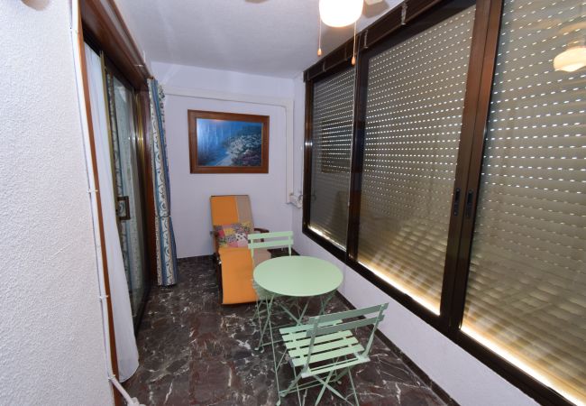 Apartamento en Benidorm - BENIBEACH (1  DORMITORIO) Apartamento en Benidorm - BENIBEACH (1  DORMITORIO)