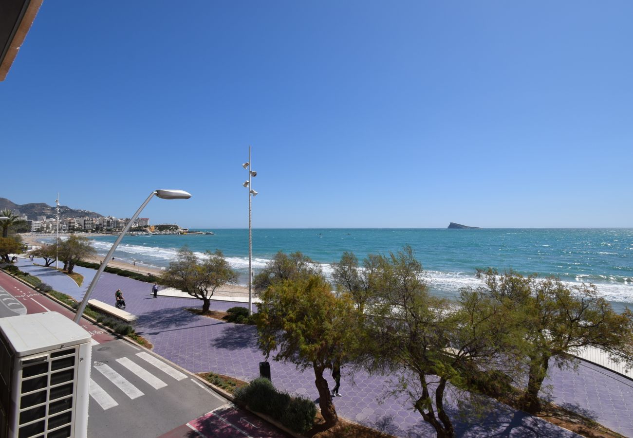Apartamento en Benidorm - BENIBEACH (1  DORMITORIO)