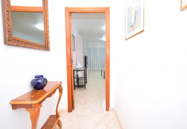 Apartamento en Benidorm - LIDERSOL (2 DORMITORIOS) Apartamento en Benidorm - LIDERSOL (2 DORMITORIOS)