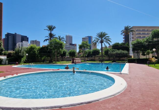 Apartamento en Benidorm - LIDERSOL (2 DORMITORIOS)