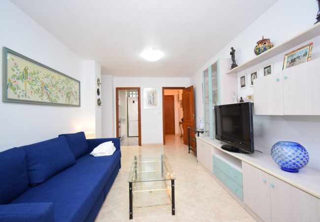 Apartamento en Benidorm - LIDERSOL (2 DORMITORIOS) Apartamento en Benidorm - LIDERSOL (2 DORMITORIOS)