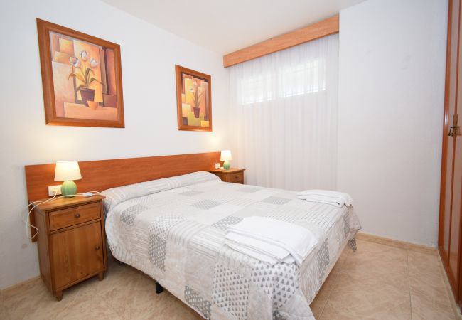 Apartamento en Benidorm - LIDERSOL (2 DORMITORIOS) Apartamento en Benidorm - LIDERSOL (2 DORMITORIOS)