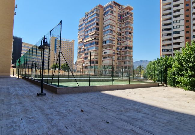 Apartamento en Benidorm - LIDERSOL (2 DORMITORIOS) Apartamento en Benidorm - LIDERSOL (2 DORMITORIOS)