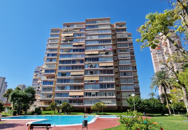 Apartamento en Benidorm - LIDERSOL (2 DORMITORIOS) Apartamento en Benidorm - LIDERSOL (2 DORMITORIOS)