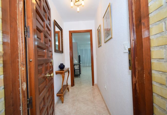 Apartamento en Benidorm - LIDERSOL (2 DORMITORIOS) Apartamento en Benidorm - LIDERSOL (2 DORMITORIOS)