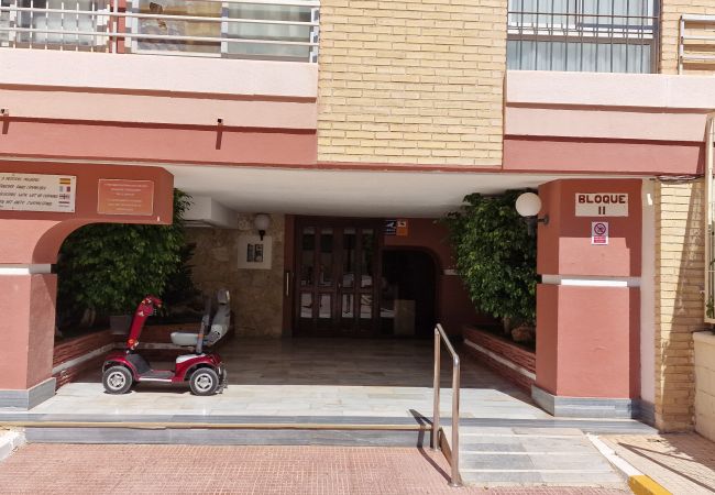 Apartamento en Benidorm - LIDERSOL (2 DORMITORIOS) Apartamento en Benidorm - LIDERSOL (2 DORMITORIOS)