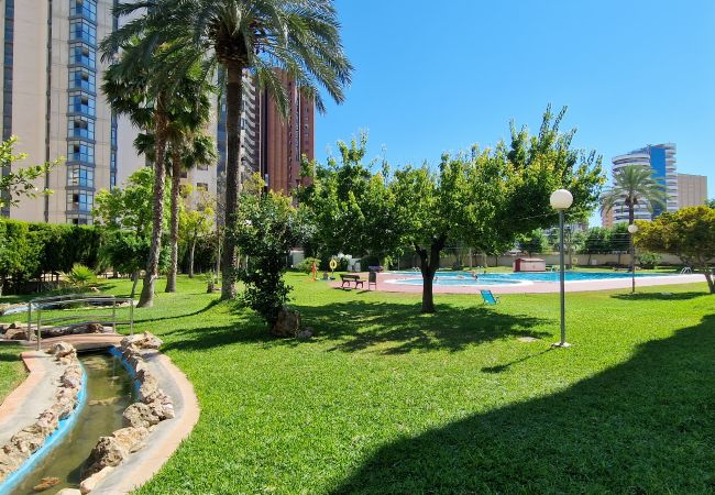 Apartamento en Benidorm - LIDERSOL (2 DORMITORIOS) Apartamento en Benidorm - LIDERSOL (2 DORMITORIOS)