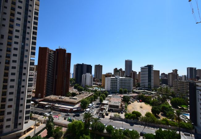 Apartamento en Benidorm - LIDERSOL (2 DORMITORIOS) Apartamento en Benidorm - LIDERSOL (2 DORMITORIOS)