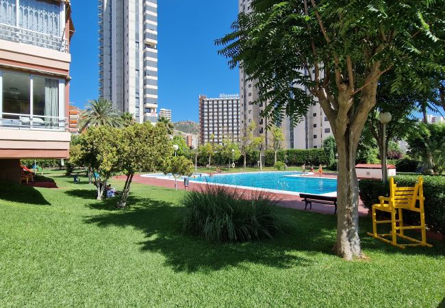 Apartamento en Benidorm - LIDERSOL (2 DORMITORIOS) Apartamento en Benidorm - LIDERSOL (2 DORMITORIOS)