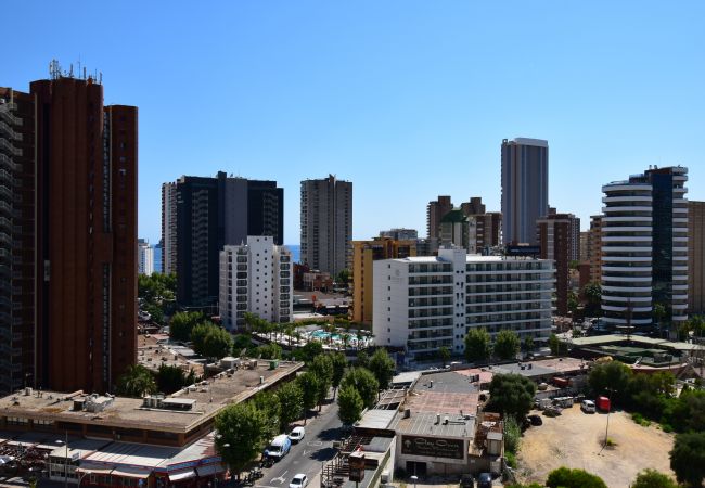 Apartamento en Benidorm - LIDERSOL (2 DORMITORIOS) Apartamento en Benidorm - LIDERSOL (2 DORMITORIOS)