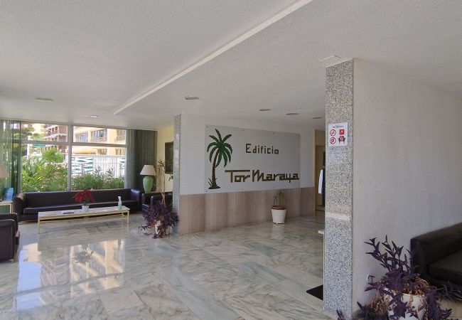 Apartamento en Benidorm - TOR MARAYA (1 DORMITORIO) Apartamento en Benidorm - TOR MARAYA (1 DORMITORIO)