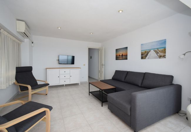 Apartamento en Benidorm - TOR MARAYA (1 DORMITORIO) Apartamento en Benidorm - TOR MARAYA (1 DORMITORIO)