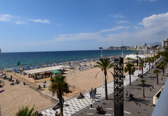 Apartamento en Benidorm - TOR MARAYA (1 DORMITORIO) Apartamento en Benidorm - TOR MARAYA (1 DORMITORIO)