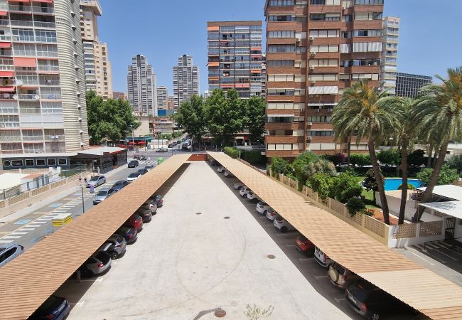 Apartamento en Benidorm - TOR MARAYA (1 DORMITORIO) Apartamento en Benidorm - TOR MARAYA (1 DORMITORIO)