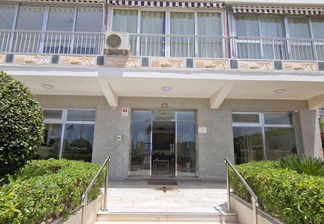 Apartamento en Benidorm - TOR MARAYA (1 DORMITORIO) Apartamento en Benidorm - TOR MARAYA (1 DORMITORIO)