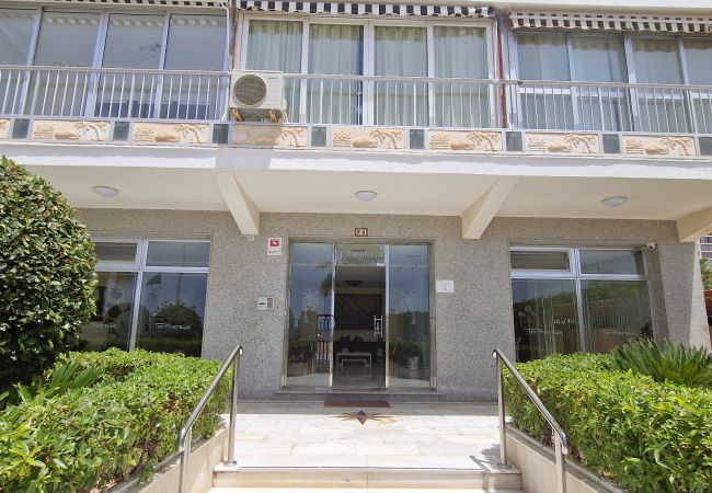 Apartamento en Benidorm - TOR MARAYA (1 DORMITORIO)