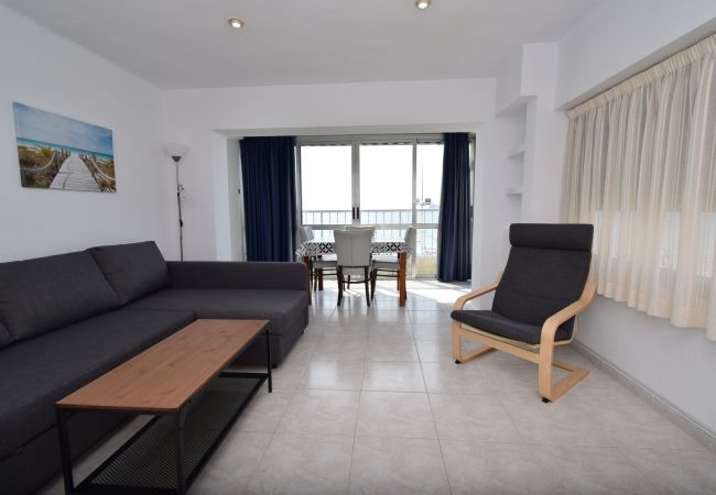 Apartamento en Benidorm - TOR MARAYA (1 DORMITORIO) Apartamento en Benidorm - TOR MARAYA (1 DORMITORIO)