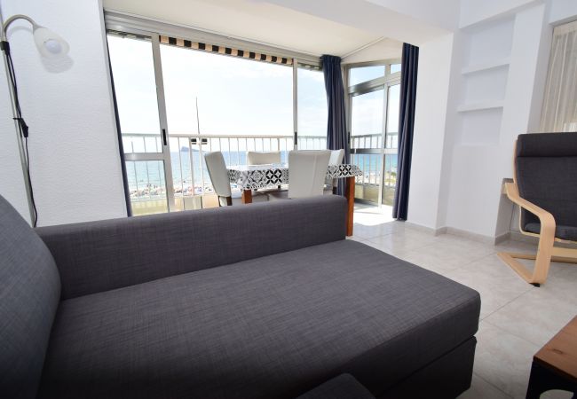 Apartamento en Benidorm - TOR MARAYA (1 DORMITORIO)