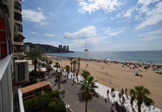 Apartamento en Benidorm - TOR MARAYA (1 DORMITORIO) Apartamento en Benidorm - TOR MARAYA (1 DORMITORIO)