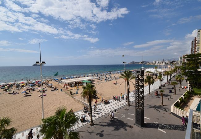 Apartamento en Benidorm - TOR MARAYA (1 DORMITORIO) Apartamento en Benidorm - TOR MARAYA (1 DORMITORIO)