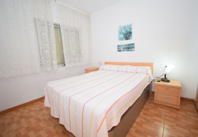 Apartamento en Benidorm - DON PACO  (2 DORMITORIOS) Apartamento en Benidorm - DON PACO  (2 DORMITORIOS)