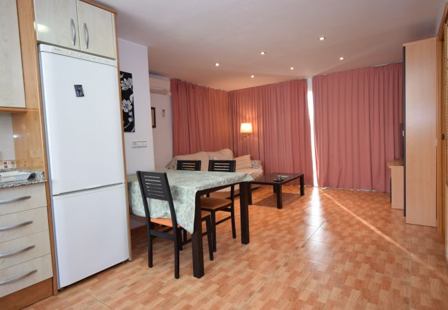 Apartamento en Benidorm - DON PACO  (2 DORMITORIOS) Apartamento en Benidorm - DON PACO  (2 DORMITORIOS)