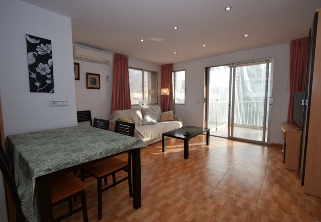 Apartamento en Benidorm - DON PACO  (2 DORMITORIOS) Apartamento en Benidorm - DON PACO  (2 DORMITORIOS)