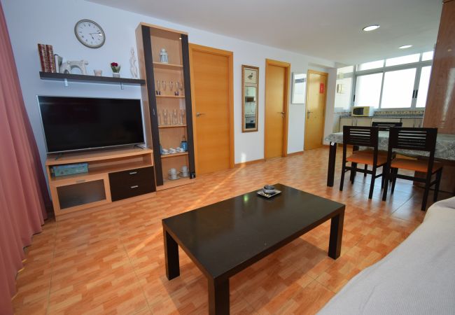 Apartamento en Benidorm - DON PACO  (2 DORMITORIOS)