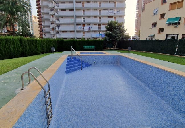 Apartamento en Benidorm - DON PACO  (2 DORMITORIOS) Apartamento en Benidorm - DON PACO  (2 DORMITORIOS)