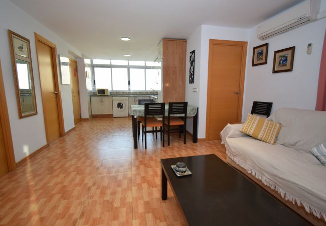 Apartamento en Benidorm - DON PACO  (2 DORMITORIOS) Apartamento en Benidorm - DON PACO  (2 DORMITORIOS)
