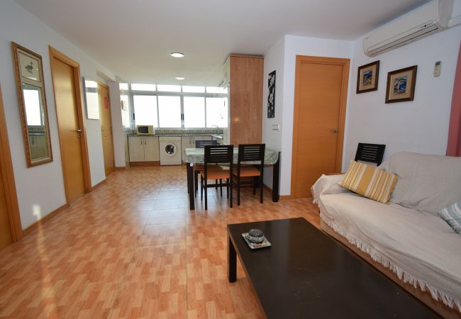 Apartamento en Benidorm - DON PACO  (2 DORMITORIOS)