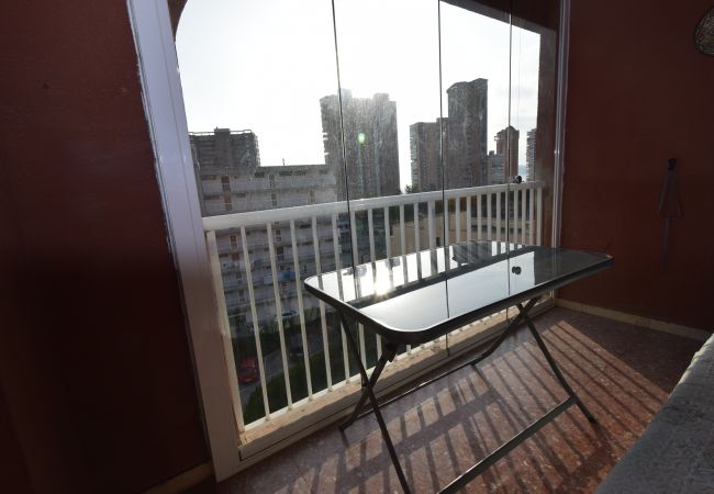 Apartamento en Benidorm - DON PACO  (2 DORMITORIOS)