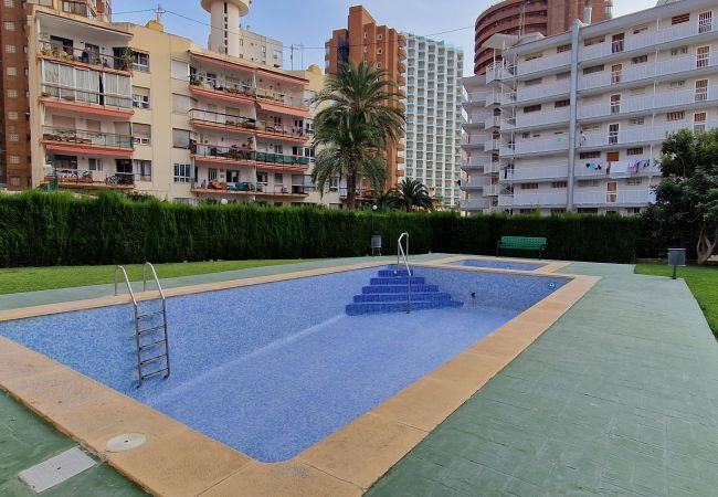 Apartamento en Benidorm - DON PACO  (2 DORMITORIOS) Apartamento en Benidorm - DON PACO  (2 DORMITORIOS)
