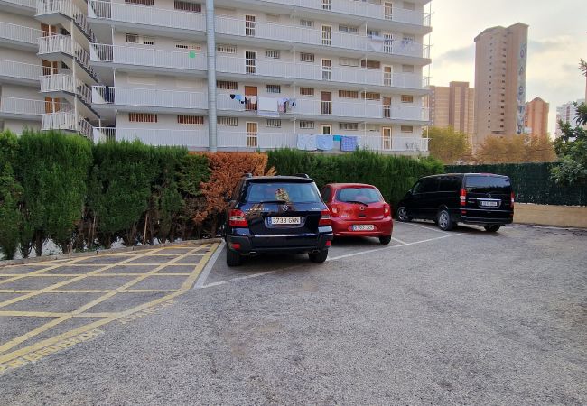 Apartamento en Benidorm - DON PACO  (2 DORMITORIOS) Apartamento en Benidorm - DON PACO  (2 DORMITORIOS)
